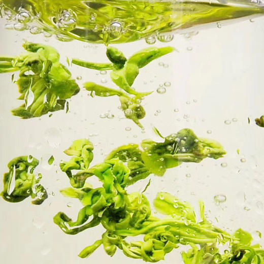 黎平白茶 【黎平县茗侗天下】 商品图2