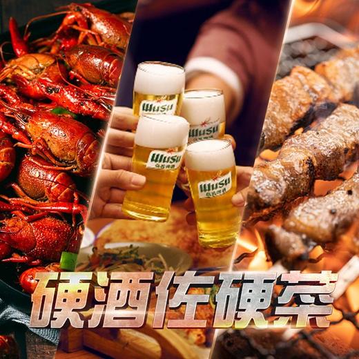 乌苏啤酒500ml/罐 商品图3