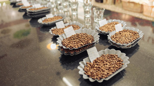 SCA 感官技能 高级  SENSORY SKILL PRO【含高级考证费】 商品图1