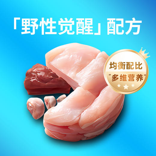 冒险与它 全价主食狗条15g*12支盒装 非零食 鲜肉配方 湿粮包批发 商品图6