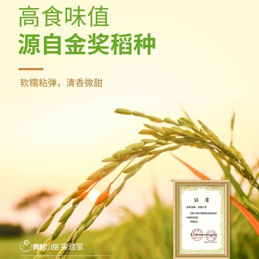 青蛙小甜生态胚芽米 2.5kg【保质期180天，开封后0-6℃密封冷藏】✅ ​​胚芽保留率＞80%​​——B族维生素+膳食纤维爆表 商品图3