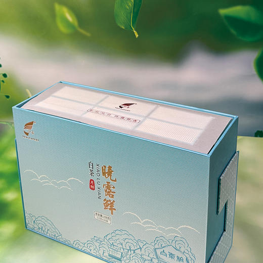 晓露鲜白茶月鲜 商品图1