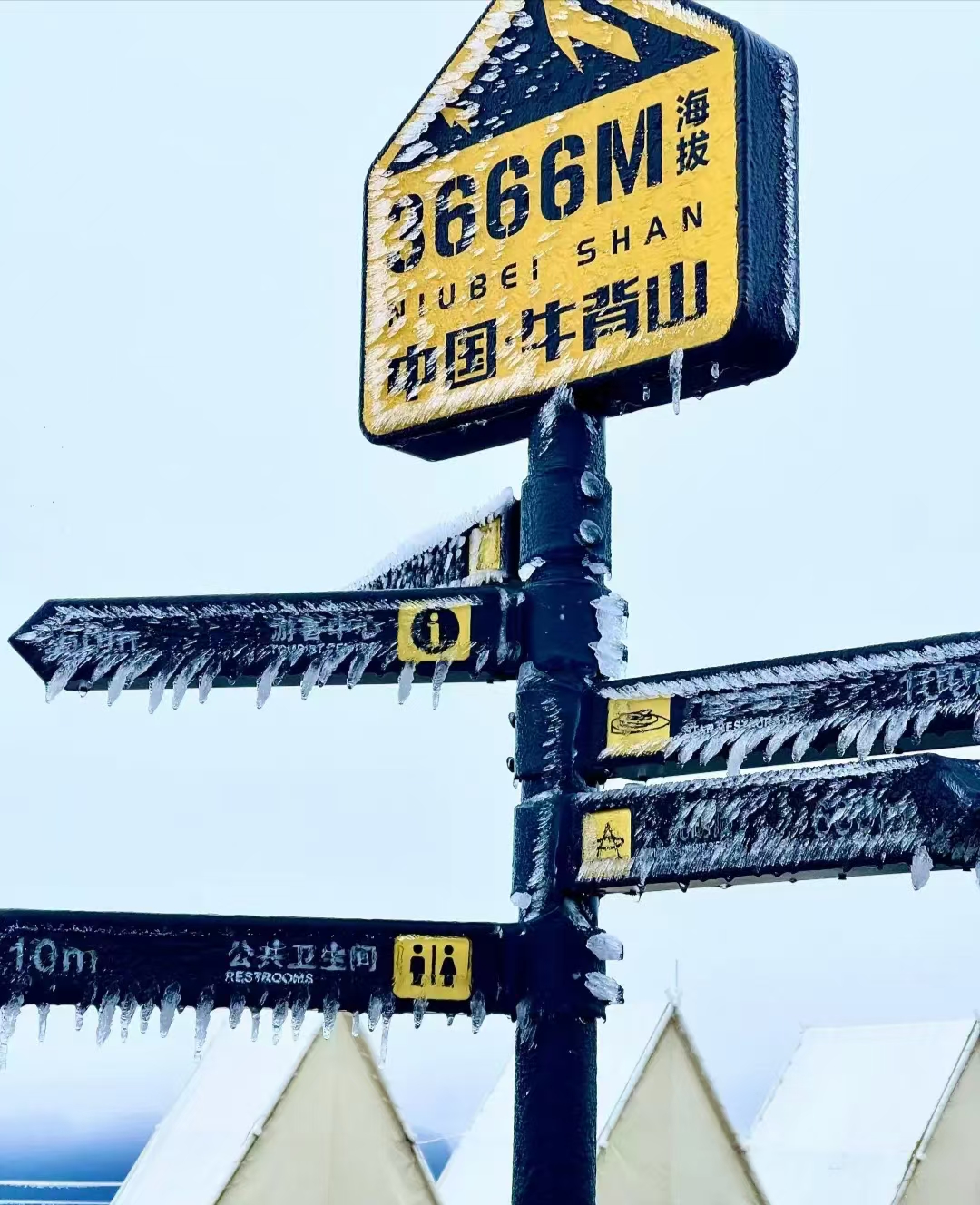 【2025】云端之境5天4晚|2-8人小团半自由行  四姑娘山双桥沟/甲居藏寨/八郎生都/S434/牛背山