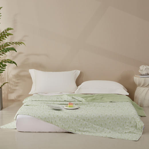 利路米特惠款清凉水洗夏被青草绿 商品图3
