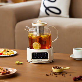 海牌多功能花茶壶_养生壶HP-Y612【K】