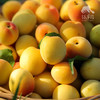 生态青梅（白粉梅） | 合作生产*Ecological green plum| Partner Production 商品缩略图3