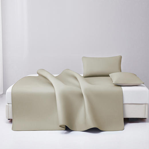 多喜爱 素色牛皮席-未央（卡其灰）席子 A类品质 植物鞣制 三峡牛皮 头层牛皮 58道工序 整张牛皮 包边工艺 商品图1