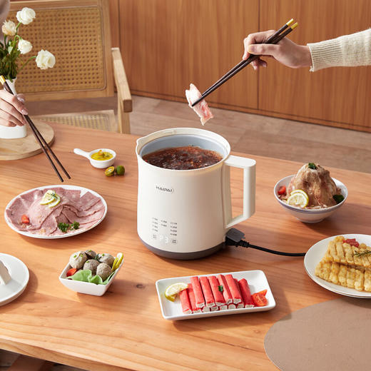 海牌多功能电煮锅_DZG-H2【K】 商品图0