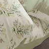 【多样屋专柜】多样屋仙语草玲-全棉四件套春夏轻薄/200*230cm 商品缩略图4