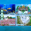 权益好礼丨 广东旅游年卡灵蛇版 商品缩略图2