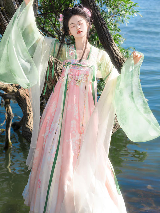 【重回汉唐春雨落花】正品原创改良广袖襦齐胸衫裙襦裙唐制仙气汉服女 商品图2