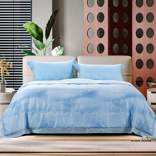 鑫缘 极爽可水洗桑蚕丝被 AEPD0320 商品图7