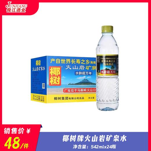 椰树牌火山岩矿泉水 净含量：542ml/瓶 商品图0