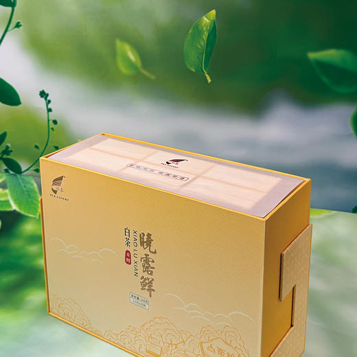 晓露鲜白茶日鲜 商品图1