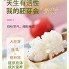 青蛙小甜生态胚芽米 2.5kg【保质期180天，开封后0-6℃密封冷藏】✅ ​​胚芽保留率＞80%​​——B族维生素+膳食纤维爆表 商品缩略图2