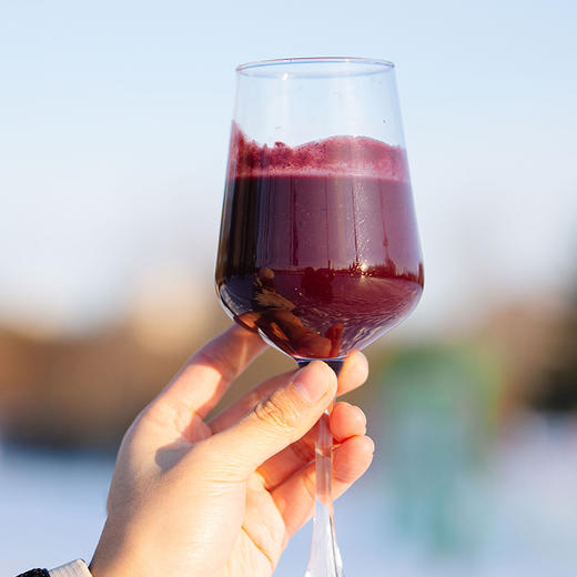 【野生蓝莓原浆】经常用眼就喝蓝莓原浆 无人为干预自然生长 小兴安岭的肥沃土地【AA】 商品图5