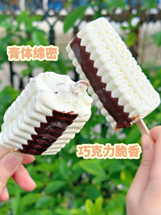 伊利云朵绵绵 商品图3