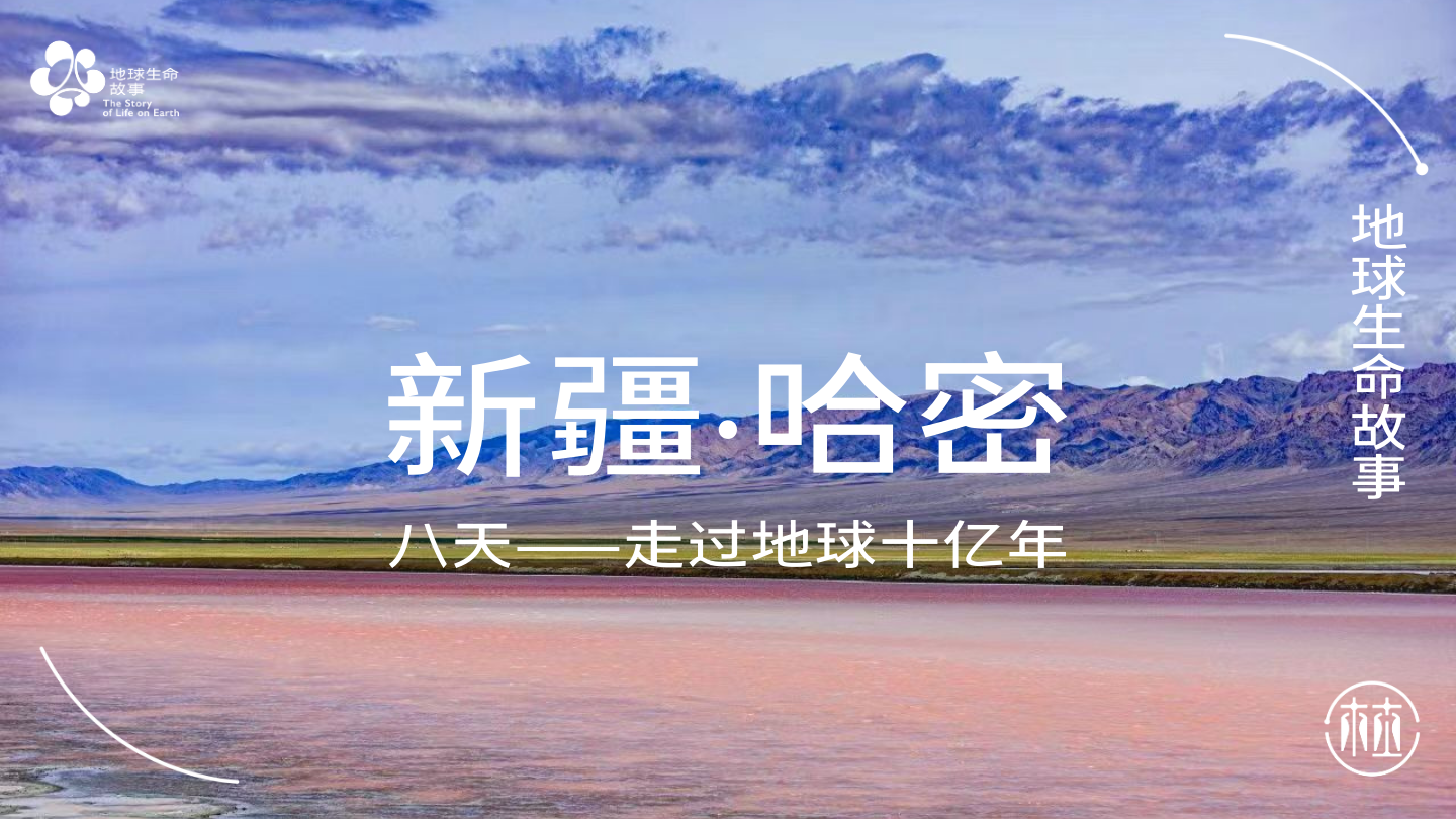 预约·地球生命故事 - 哈密