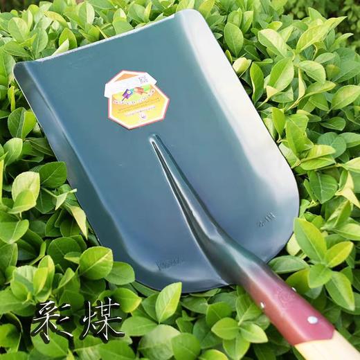 燕南 彩锹 商品图1