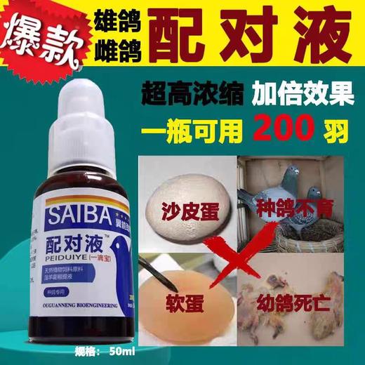 翼能劲翔【配对液50ml】信赛鸽子雌雄种鸽调整理种鸽宝不孕无精保健 商品图0