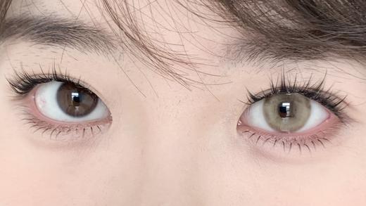 Serltyca半年抛-青木浅驼 商品图6