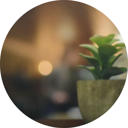 《正念静观生活入门课》