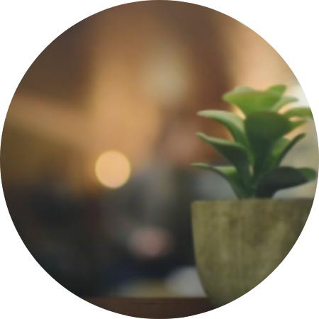 《正念静观生活入门课》 商品图0