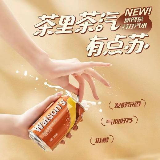 屈臣氏watsons 低糖低能量康普茶苏打汽水 325ml/罐 商品图2