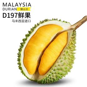  【关于榴莲】马来西亚榴莲 