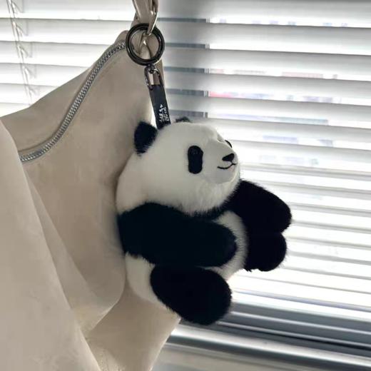 千寻日记熊猫系列 商品图1