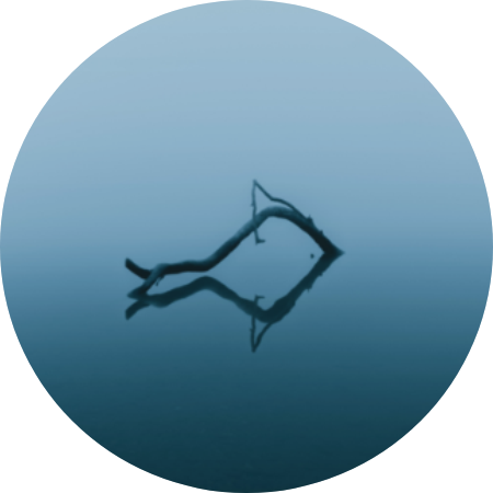 《基础正念呼吸练习》-玛吉薇蒳