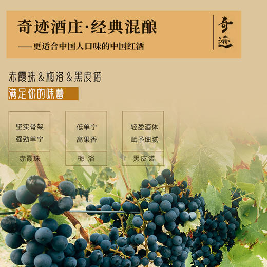 【国际马拉松官方指定用酒】奇迹酒庄·128红葡萄酒  中国葡萄酒第一镇 10个月橡木桶陈酿 14%vol 商品图7