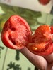 高糖番茄（3.5斤左右） 商品缩略图1