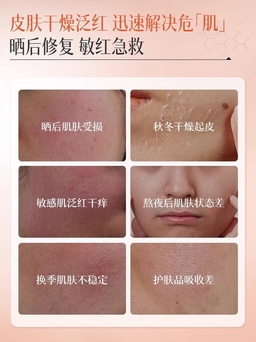 【补水急救干敏+养肤】山茶花爽肤水发光水补水保湿精华晚去黄提亮收缩毛孔湿敷水乳护肤 商品图1