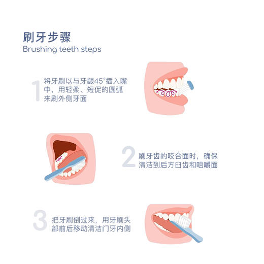 【马泷专属】Tonochi通吃猫-Macaron成人宽头牙刷（4支起售） 商品图4
