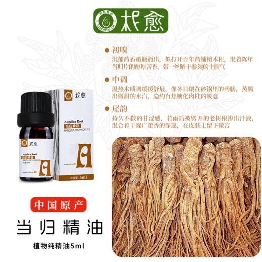 【柅愈】当归纯精油5ml  温养透亮   单方纯精油  扩香/熏香/调油 商品图1