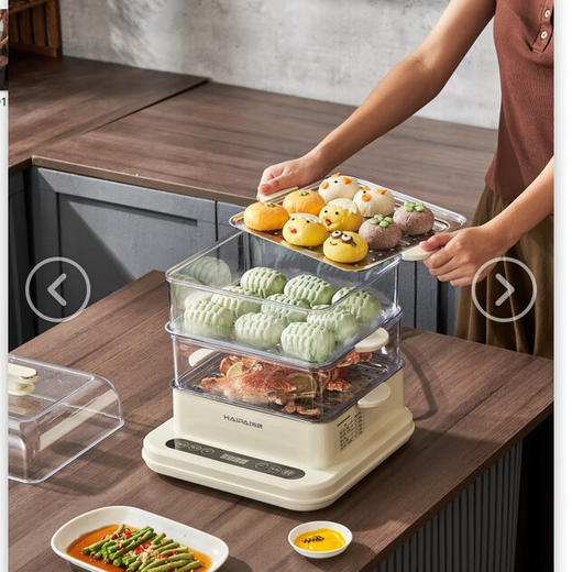 海牌不锈钢电蒸笼_HP-Z20A【K】 商品图1