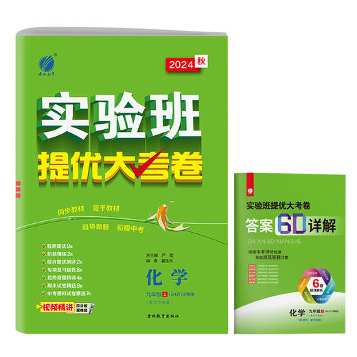 2024【沪教版】九年级化学(全一册) 实验班提优大考卷 商品图4