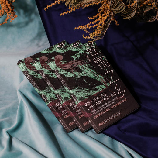 怪物之乡 横跨自然与民族、类型文学与纯文学的异质品种 商品图2