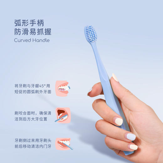 【马泷专属】Tonochi通吃猫-Macaron成人宽头牙刷（4支起售） 商品图3