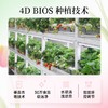 滨江四维生态·STARWBERRY红草莓 一场关于味蕾与自然的奇妙邂逅 商品缩略图3