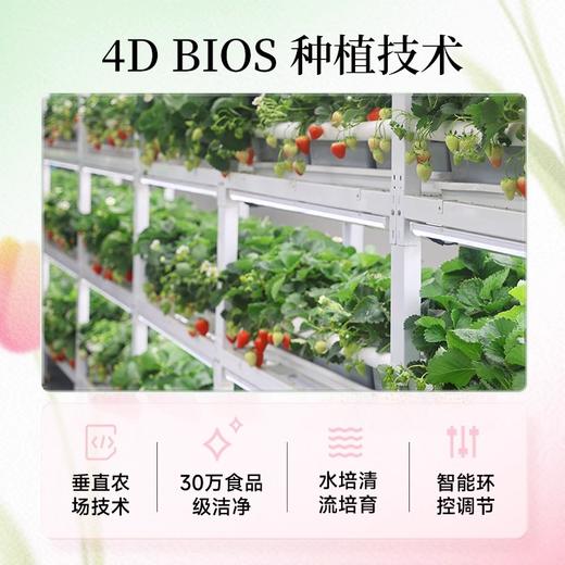滨江四维生态·STARWBERRY红草莓 一场关于味蕾与自然的奇妙邂逅 商品图3