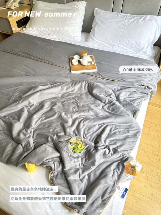 🌻【A类玉米抱抱被夏凉被】保暖最好的是羽绒被💥，气味最佳的是棉花被，舒适度最可的是蚕丝被...但， ❌睡久了就会沉沉的 棉花被早就被我搁置了，🌟大几千的羽绒被钱包受不起！ 商品图4