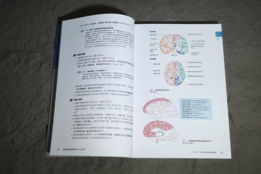 《高级脑功能障碍——康复评估与治疗流程》 商品图3
