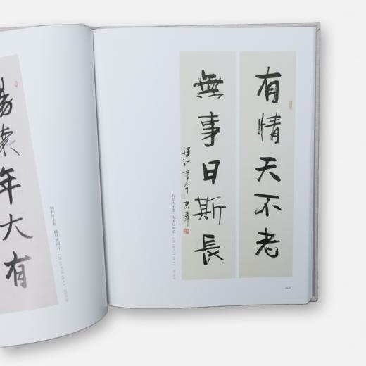 限量签名版《梁江书画选集》[广州出版社正版包邮] 商品图3