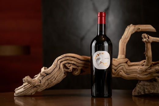 玉鸽单一园蛇龙珠2020 商品图0