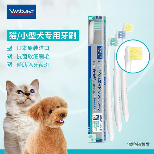 【法国维克】牙膏 适用于猫/小型犬  宠物牙膏套装  刷牙结石 缓解口臭 宠物牙膏可食用 商品图2