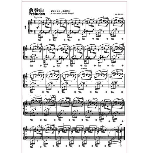 肖邦钢琴作品全集7 前奏曲 波兰国家版 商品图1