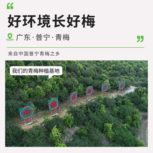 广东揭阳荔米吉原味话梅肉90g/袋 商品图2