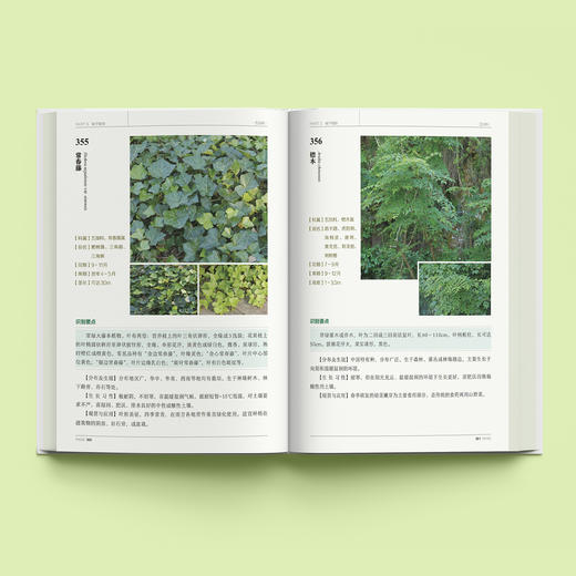 《600种郊野植物图鉴》 商品图3
